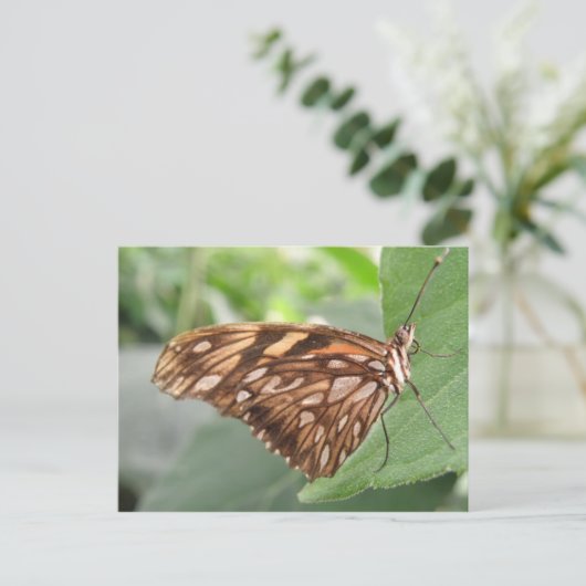  Briefkaart van bruine vlinder (Staand voorkant)