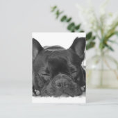 Briefkaart van Bulldog (Staand voorkant)