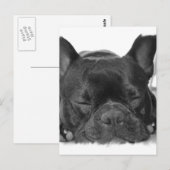 Briefkaart van Bulldog (Voorkant / Achterkant)