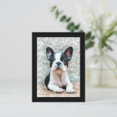 Briefkaart van Bulldog (Staand voorkant)