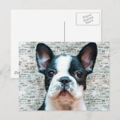Briefkaart van Bulldog (Voorkant / Achterkant)