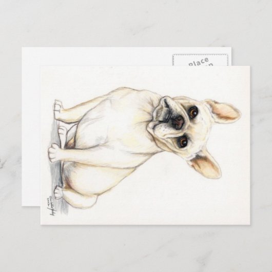 Briefkaart van Bulldog Dog Art (Voorkant / Achterkant)