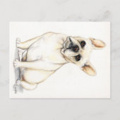 Briefkaart van Bulldog Dog Art (Voorkant)