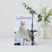 Briefkaart van Californië, Seagull en Boat (Staand voorkant)