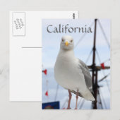 Briefkaart van Californië, Seagull en Boat (Voorkant / Achterkant)