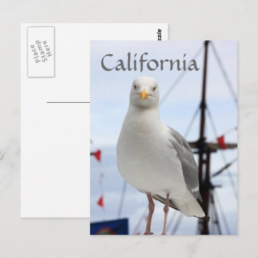 Briefkaart van Californië, Seagull en Boat (Voorkant / Achterkant)