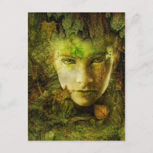 Briefkaart van Camouflage