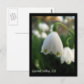 Briefkaart van Carmel Valley Flowers (Voorkant / Achterkant)