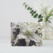 Briefkaart van Casablanca Lily (Staand voorkant)
