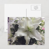 Briefkaart van Casablanca Lily (Voorkant / Achterkant)