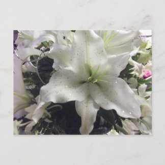 Briefkaart van Casablanca Lily