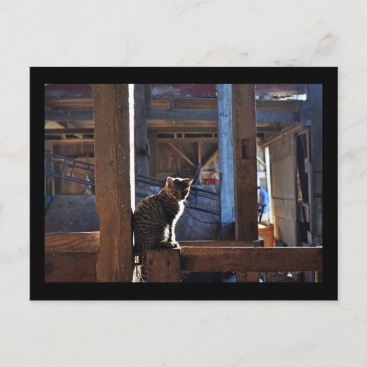 Briefkaart van Cat. Denis. (Voorkant)