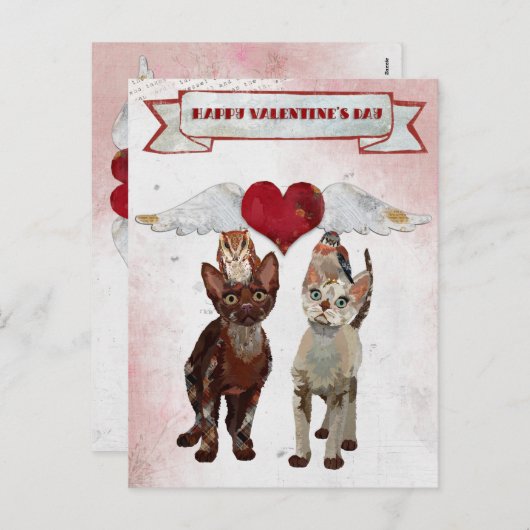 BRIEFKAART VAN CATS EN FEATHERS VALENTIJNS (Voorkant / Achterkant)