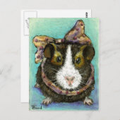 Briefkaart van cavia (Voorkant / Achterkant)