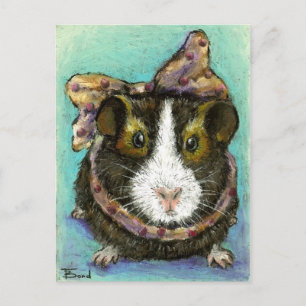 Briefkaart van cavia