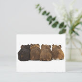 Briefkaart van cavia's (Staand voorkant)