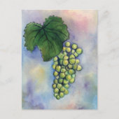 Briefkaart van Chardonnay Wine Grapes (Voorkant)