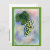 Briefkaart van Chardonnay Wine Grapes (Voorkant / Achterkant)