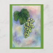 Briefkaart van Chardonnay Wine Grapes (Voorkant)