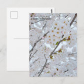 Briefkaart van Cherry-bloesems in Trinity Bellwood (Voorkant / Achterkant)