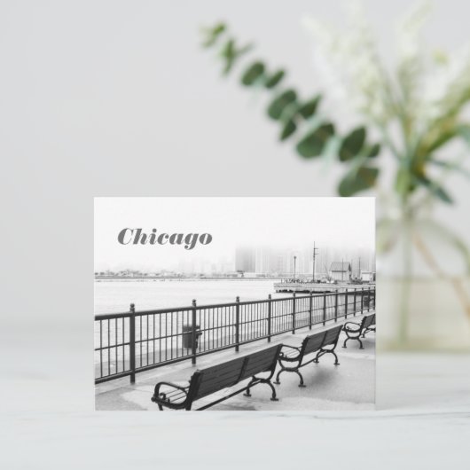 Briefkaart van Chicago Navy Pier (Staand voorkant)