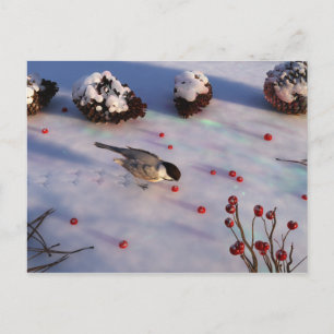 Briefkaart van Chickadee Winter
