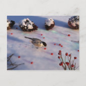Briefkaart van Chickadee Winter (Voorkant)
