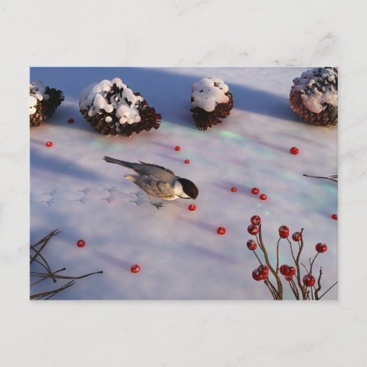 Briefkaart van Chickadee Winter (Voorkant)