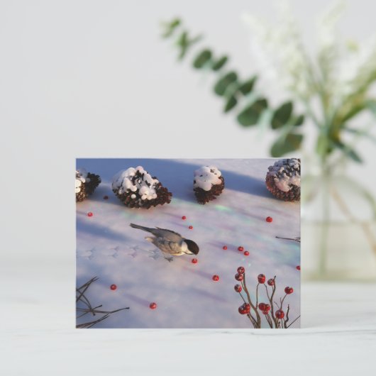 Briefkaart van Chickadee Winter (Staand voorkant)