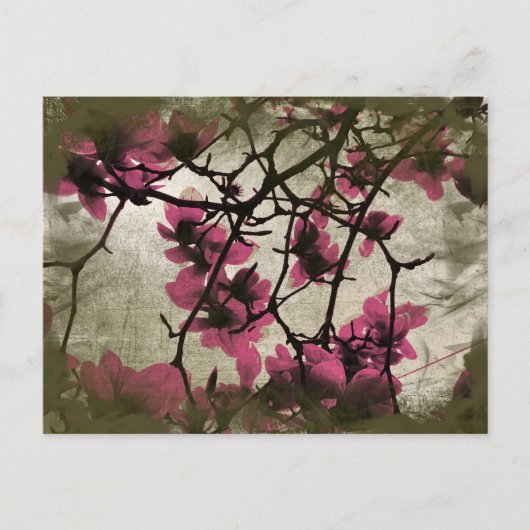 Briefkaart van Chocolate Raspberry Blossom Branche (Voorkant)
