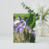Briefkaart van ColumbinePlanten (Staand voorkant)