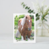 Briefkaart van conceptpaarden (Staand voorkant)