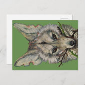 briefkaart van coyote door faceliketank (Voorkant / Achterkant)