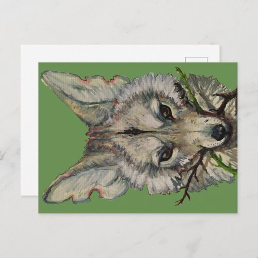 briefkaart van coyote door faceliketank (Voorkant / Achterkant)