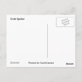 Briefkaart van Crab Spider (Achterkant)