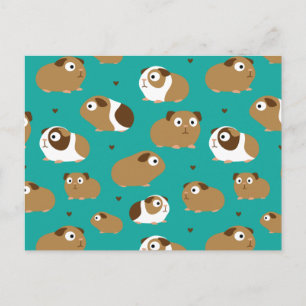 Briefkaart van Cute Guinee Pigs
