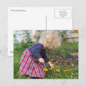 Briefkaart van Dandelions (Voorkant / Achterkant)