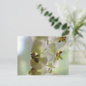 Briefkaart van dangingorchideeën (Staand voorkant)