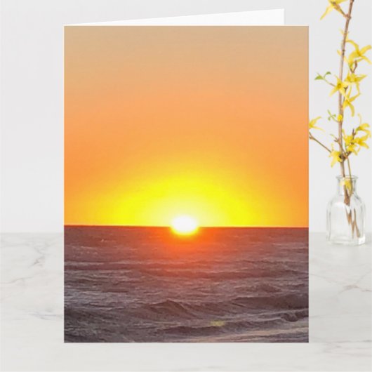 Briefkaart van de aankondiging van de tender (Gele Bloem)