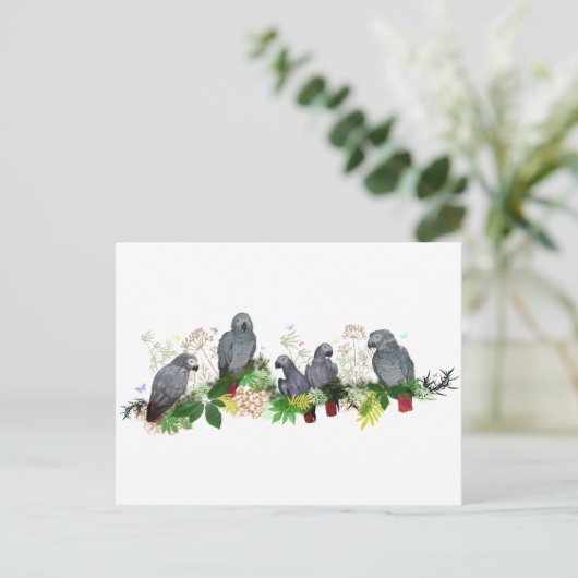 Briefkaart van de Afrikaanse Grijze Partij (Staand voorkant)