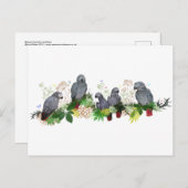 Briefkaart van de Afrikaanse Grijze Partij (Voorkant / Achterkant)