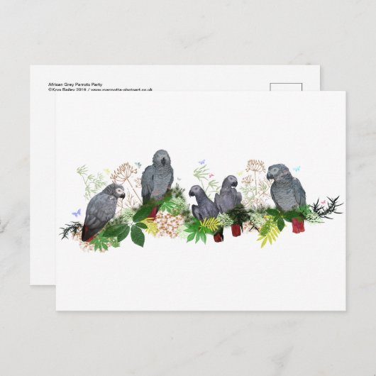 Briefkaart van de Afrikaanse Grijze Partij (Voorkant / Achterkant)