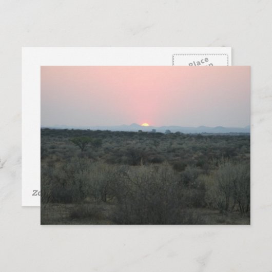 Briefkaart van de Afrikaanse zonsondergang (Voorkant / Achterkant)