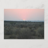 Briefkaart van de Afrikaanse zonsondergang (Voorkant)