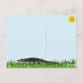 Briefkaart van de alligatorpartij (Achterkant)