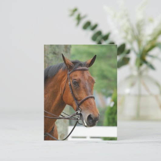 Briefkaart van de Arabische Golf (Staand voorkant)