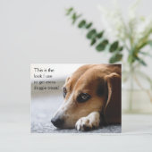 Briefkaart van de Beagle "Extra Doggie Trein" (Staand voorkant)