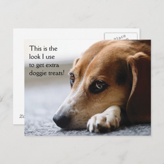 Briefkaart van de Beagle "Extra Doggie Trein" (Voorkant / Achterkant)