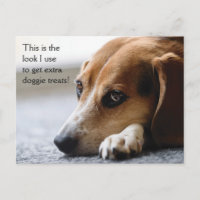 Briefkaart van de Beagle "Extra Doggie Trein"