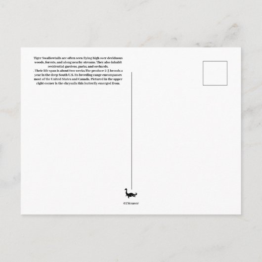 Briefkaart van de biefstaart (Achterkant)